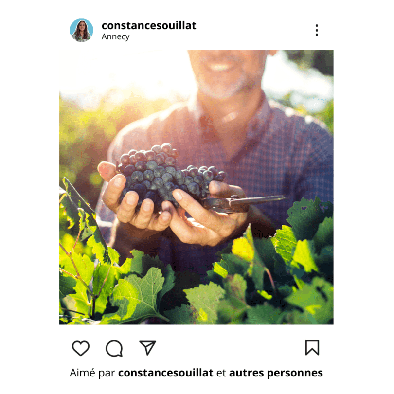 10 idées de publications Instagram pour un caviste